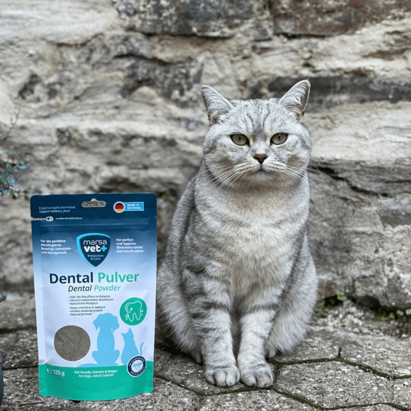 Marsavet Dental Powder – Natural Dental Care 125 g – image 7