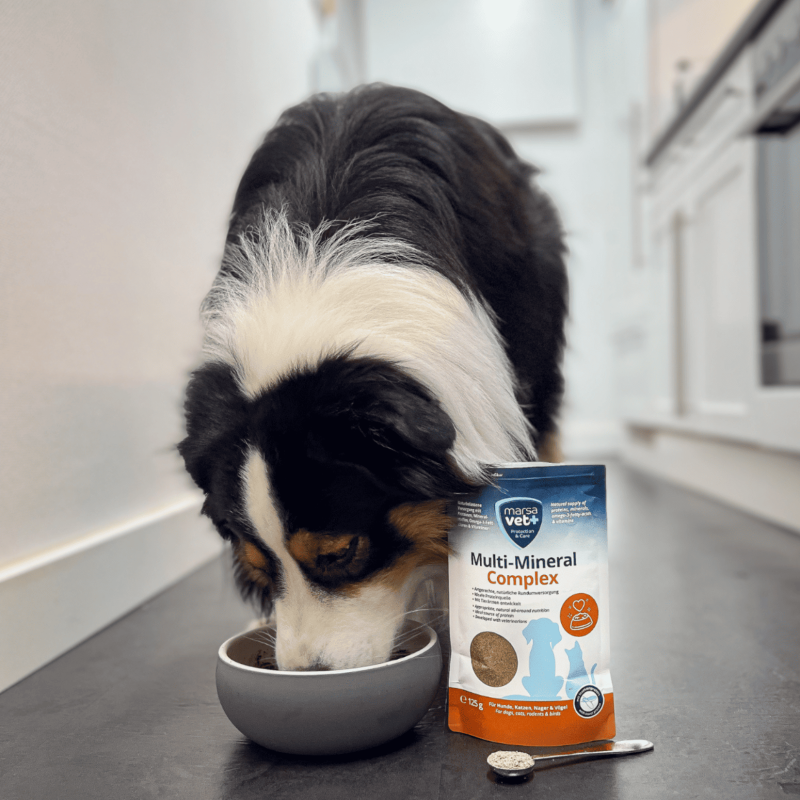 Marsavet Multi-Mineral Powder – Dogs, Cats 125 g – image 8