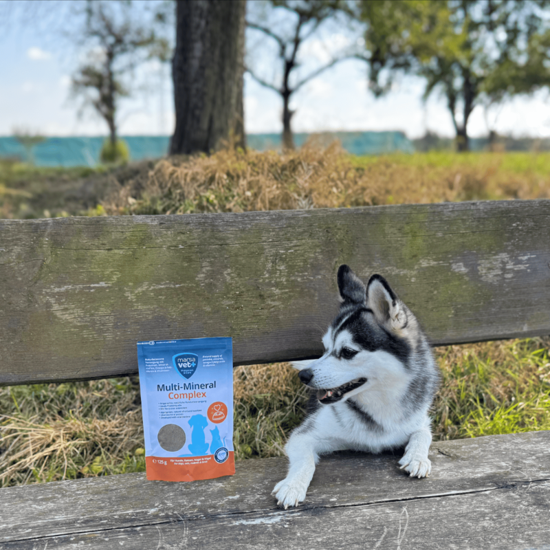 Marsavet Multi-Mineral Powder – Dogs, Cats 125 g – image 10