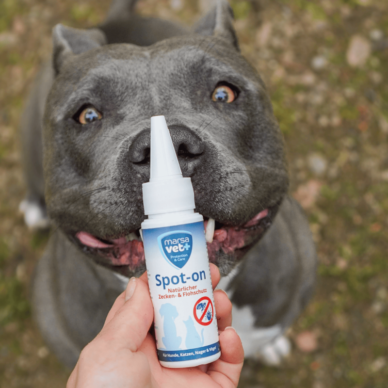 Marsavet Spot-on – Tick & Flea Protection 50 ml – image 10