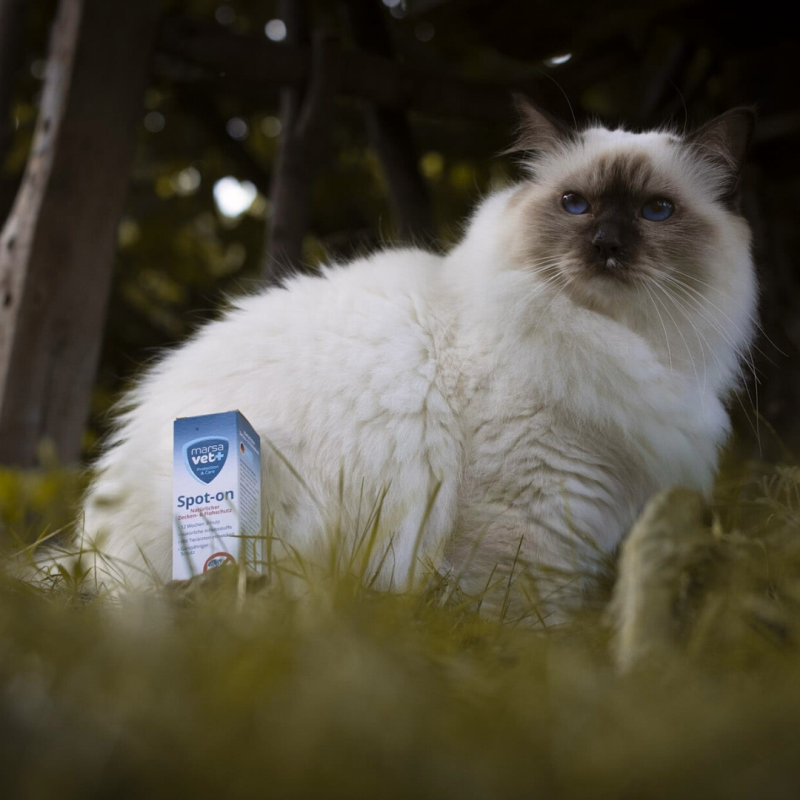 Marsavet Spot-on – Tick & Flea Protection 50 ml – with cat