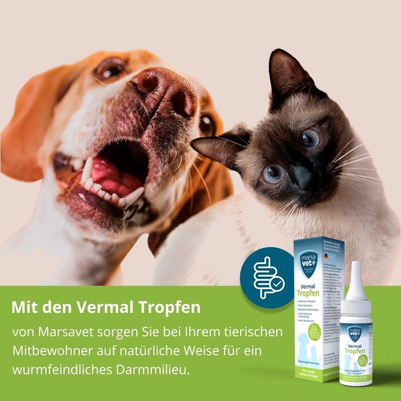Marsavet Vermal Drops – After Worm Infestation 50 ml – image 7