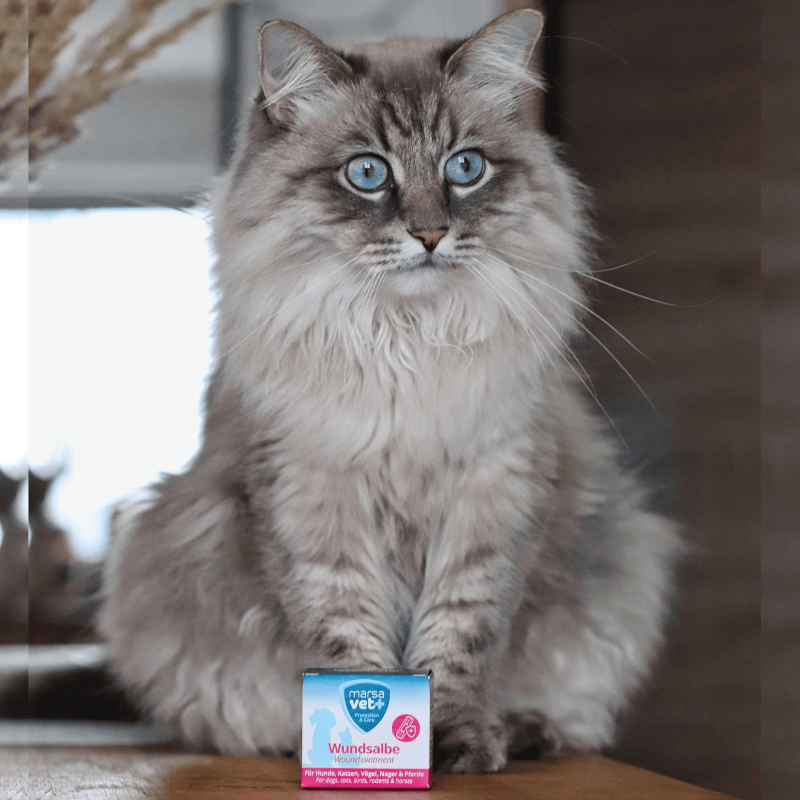 Marsavet wondzalf – wondgenezing huisdieren 30 ml – with cat