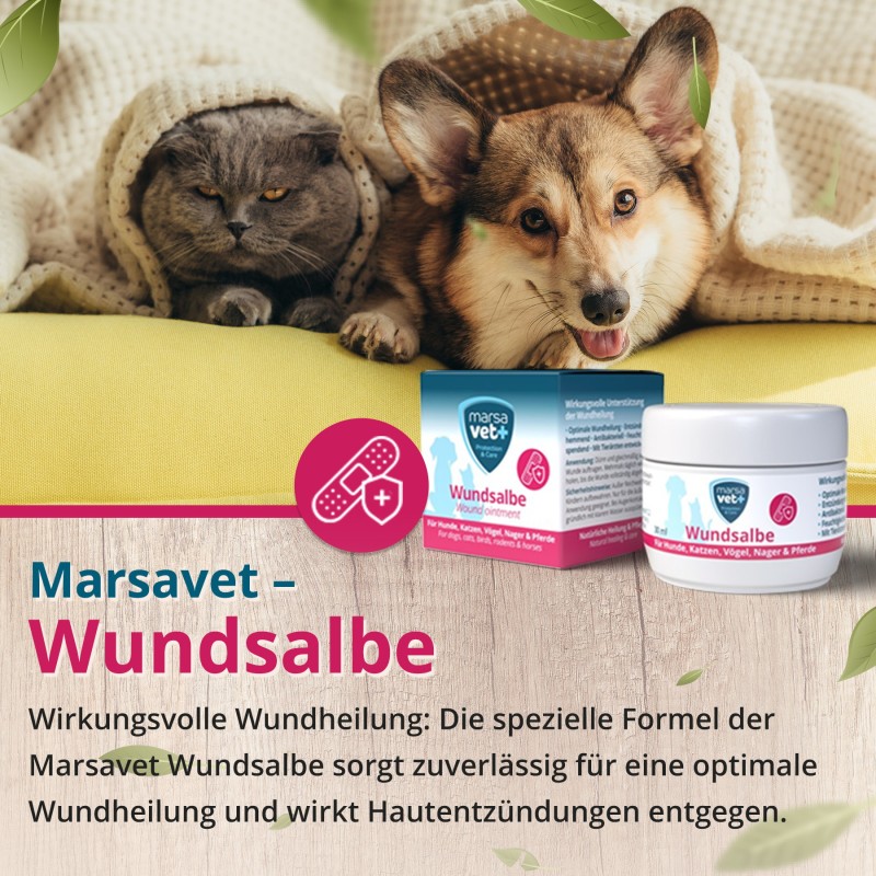 Marsavet wondzalf – wondgenezing huisdieren 30 ml – ointment